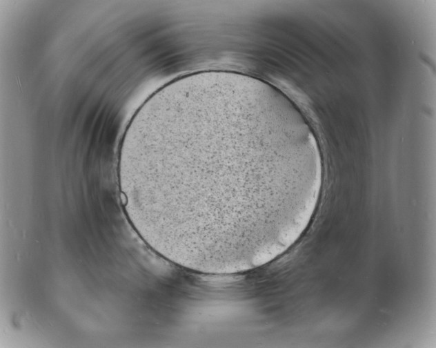 X0000102221200200808221239