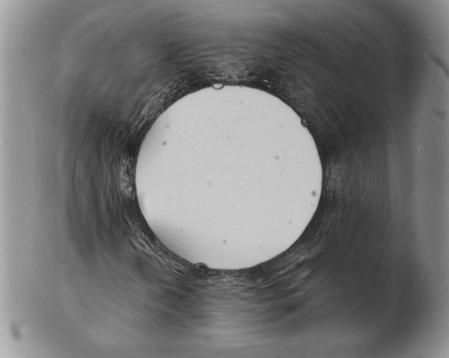 X0000102221202200808221238