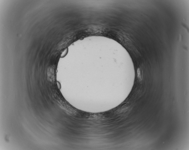 X0000102221203200808221238