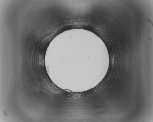 X0000102221204200808221238