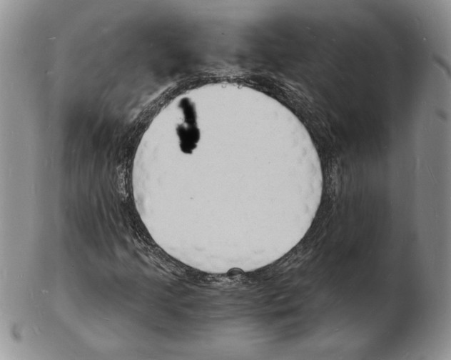 X0000102221205200808221238