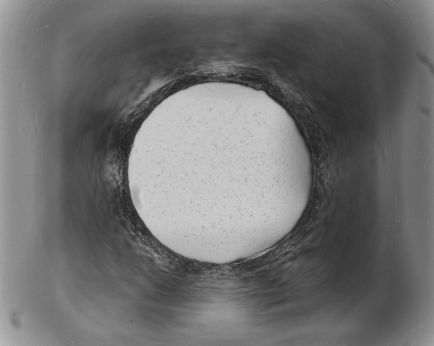 X0000102221206200808221238