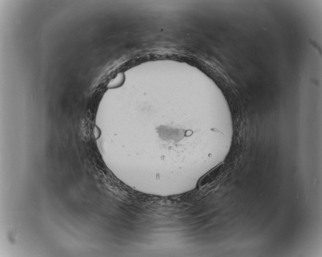 X0000102221207200808221238