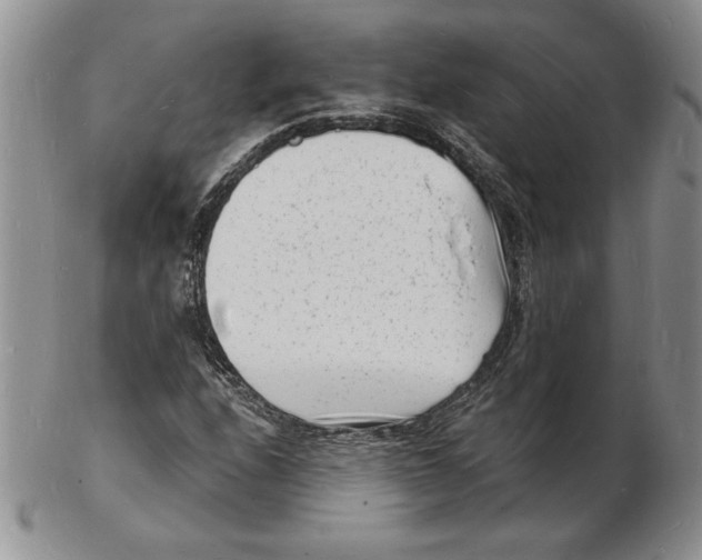 X0000102221208200808221238