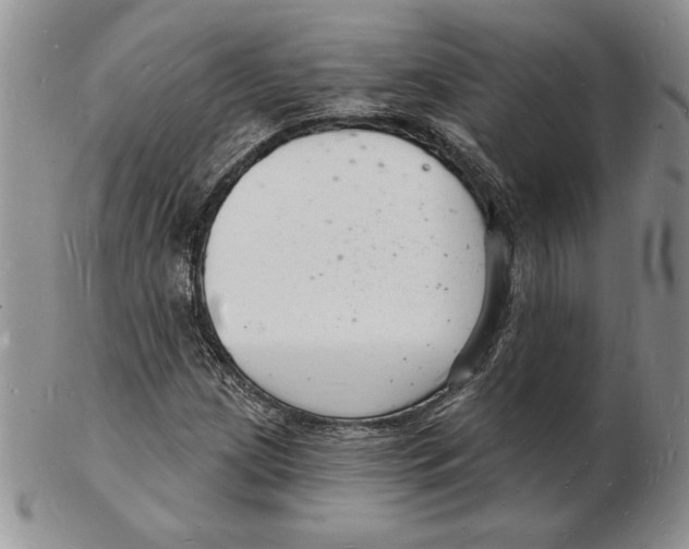 X0000102221209200808221238