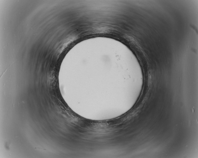 X0000102221210200808221238