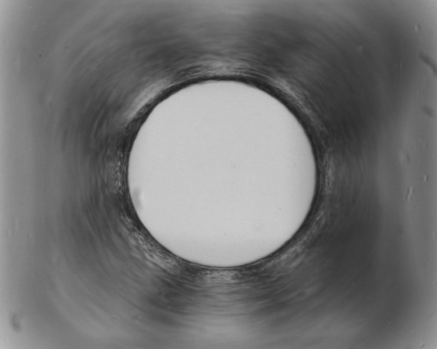 X0000102221211200808221238