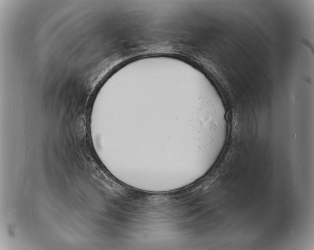 X0000102221212200808221238