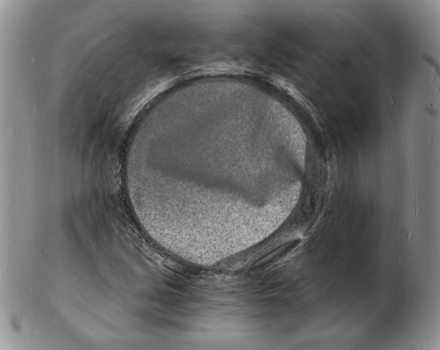 X0000102221213200808221238