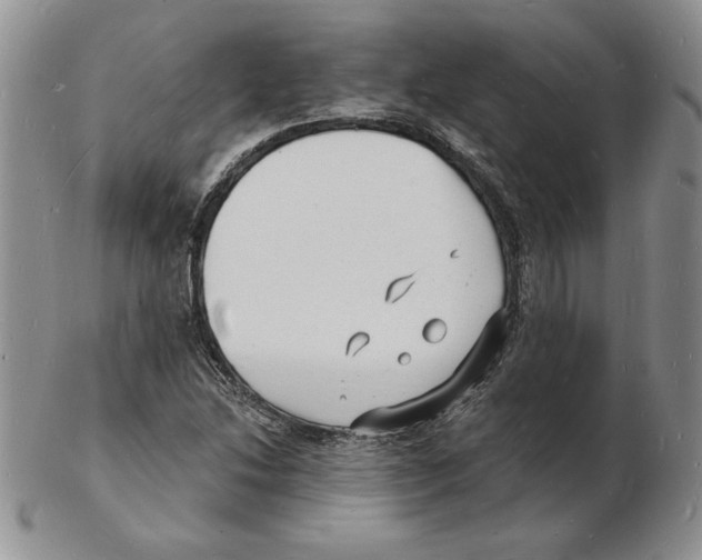 X0000102221214200808221238