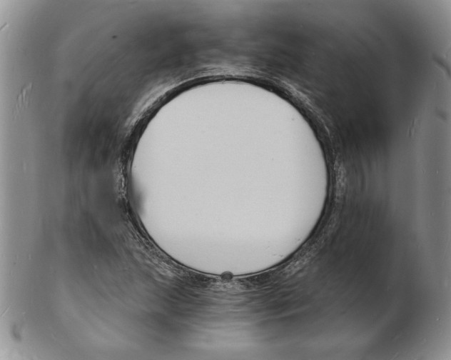 X0000102221215200808221238