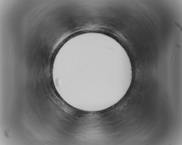 X0000102221216200808221238