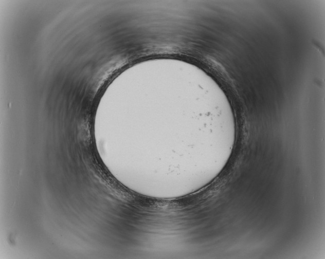 X0000102221218200808221238