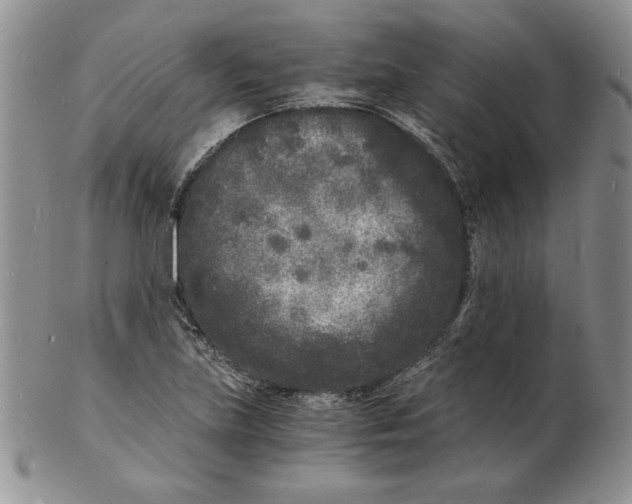 X0000102221219200808221238