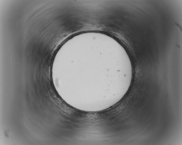 X0000102221220200808221238