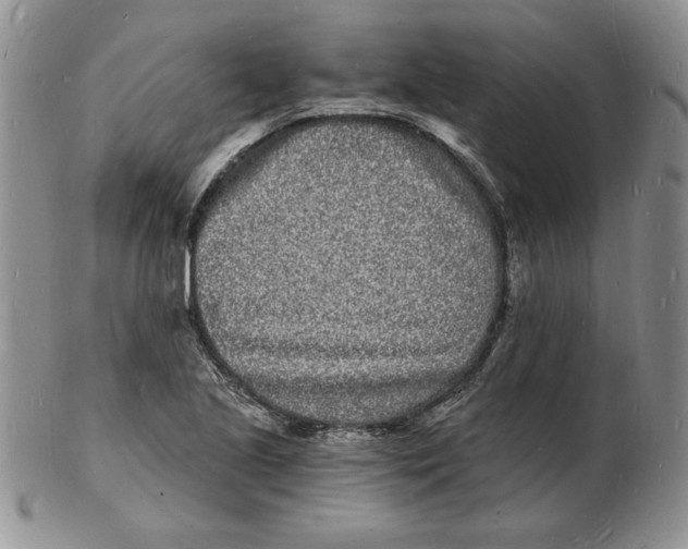 X0000102221221200808221238