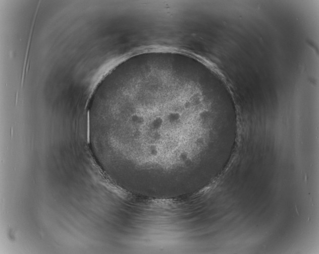 X0000102221223200808221238