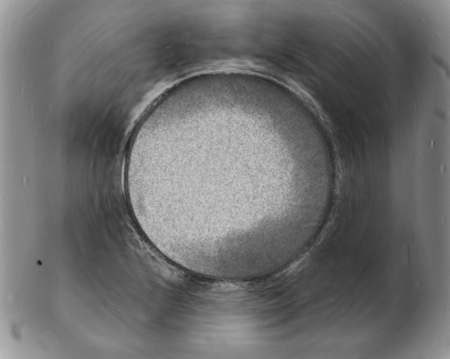 X0000102221224200808221238