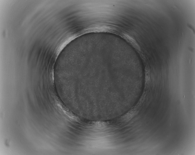 X0000102221226200808221238