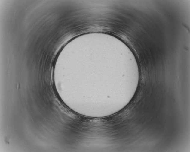 X0000102221227200808221238