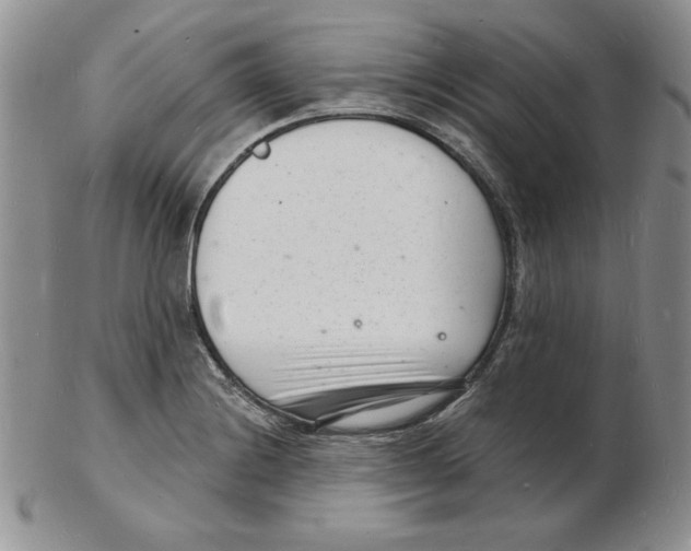 X0000102221228200808221238