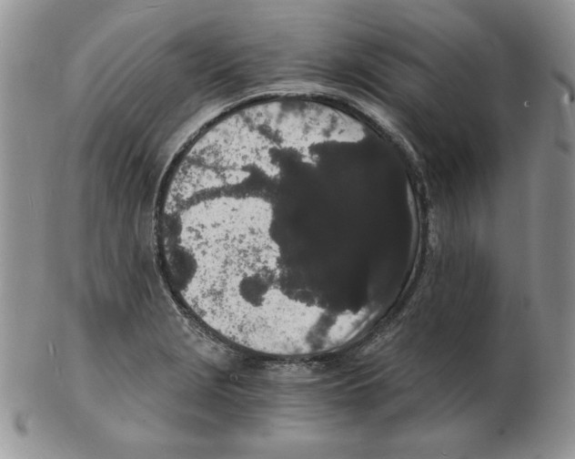 X0000102221229200808221238