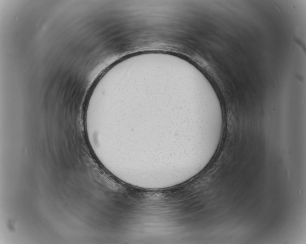 X0000102221230200808221238