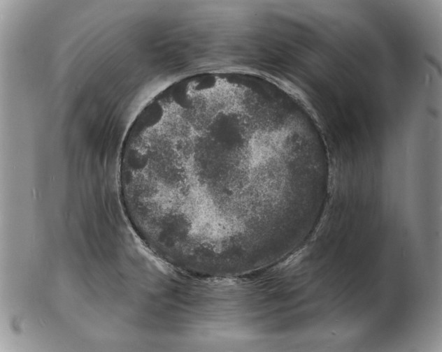 X0000102221231200808221238