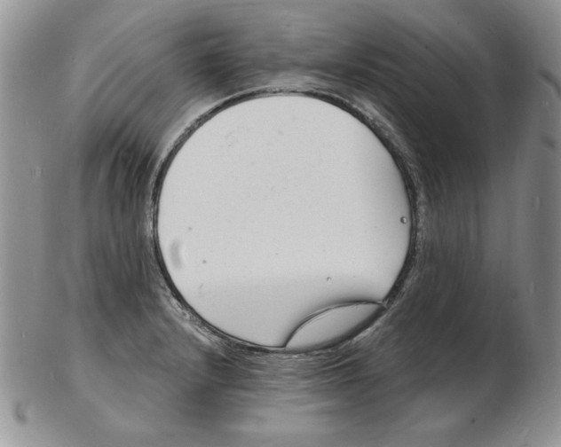 X0000102221232200808221238