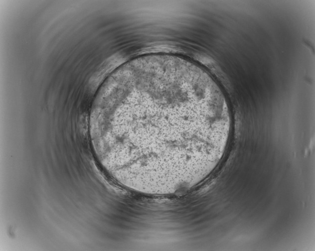 X0000102221233200808221238