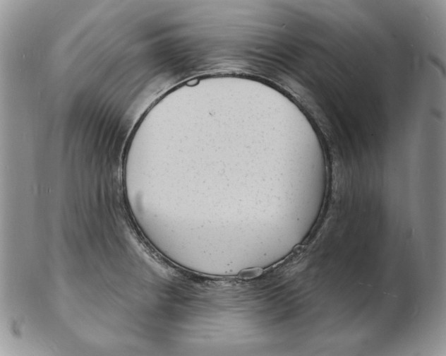 X0000102221234200808221238