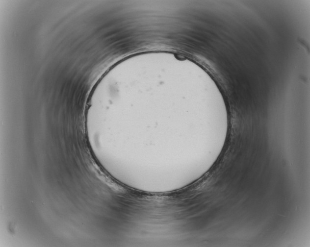 X0000102221236200808221238