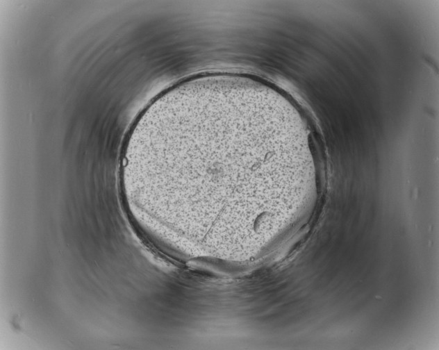 X0000102221237200808221238