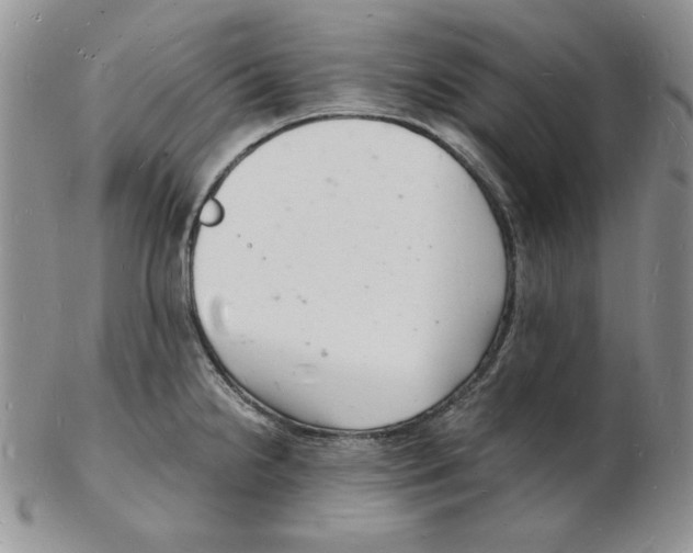 X0000102221238200808221238