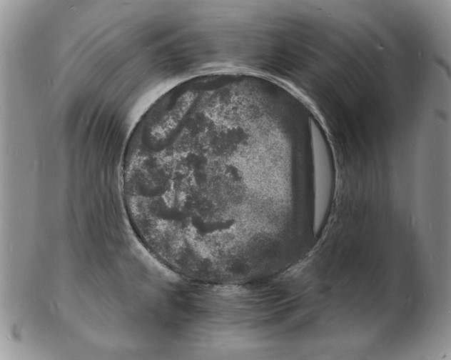 X0000102221239200808221238