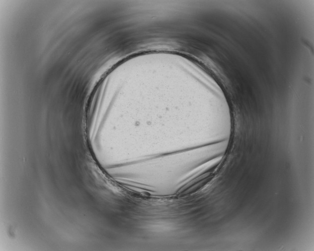 X0000102221240200808221238