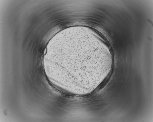 X0000102221241200808221238