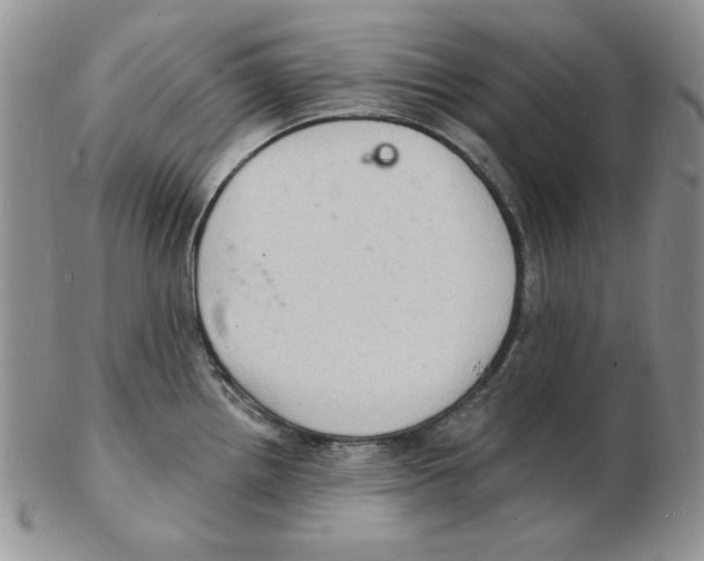 X0000102221242200808221238