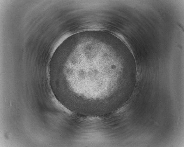 X0000102221243200808221238