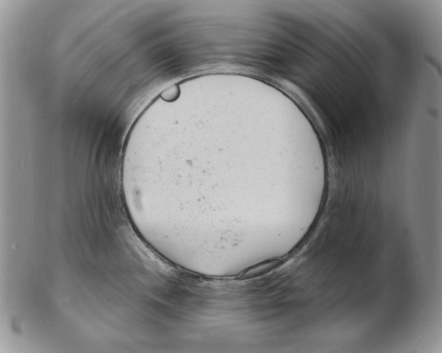 X0000102221244200808221239