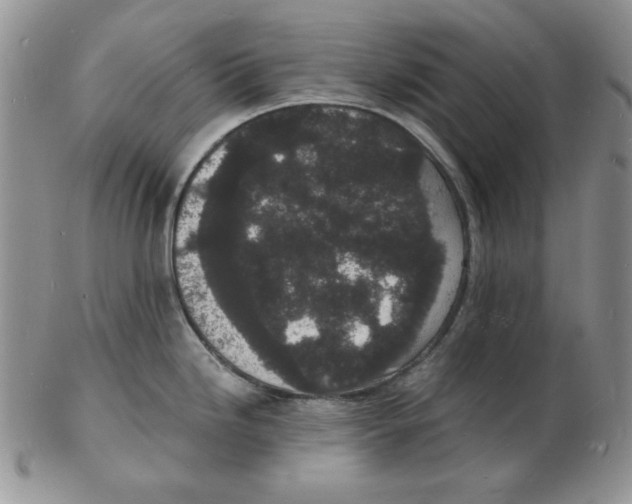 X0000102221246200808221239