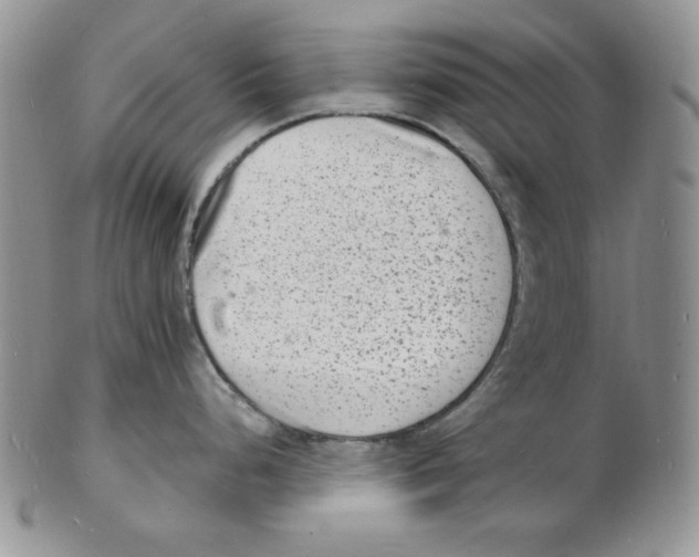 X0000102221248200808221239