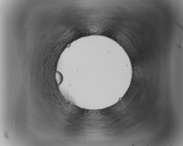 X0000102221249200808221238