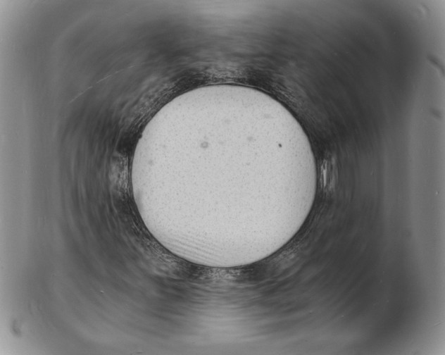 X0000102221251200808221238