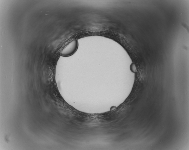 X0000102221253200808221238