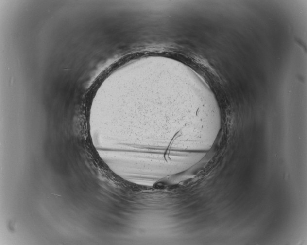 X0000102221256200808221238