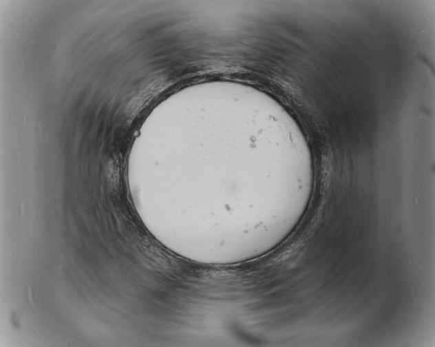 X0000102221257200808221238