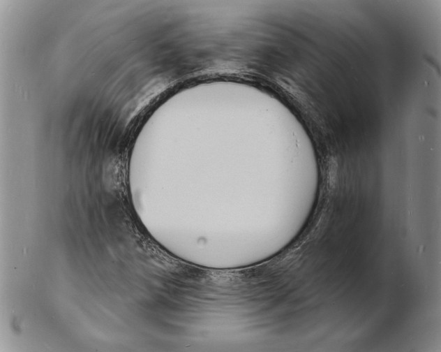 X0000102221258200808221238