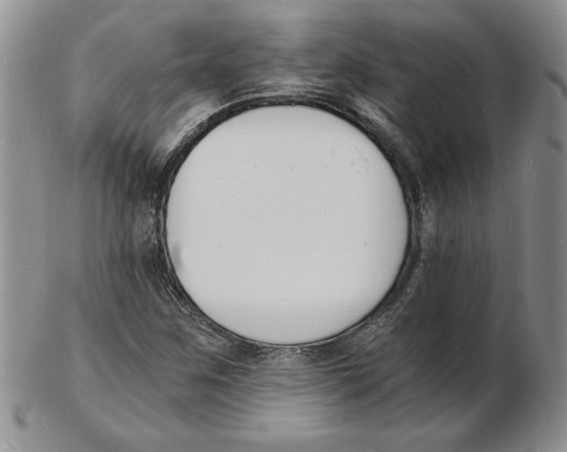 X0000102221259200808221238