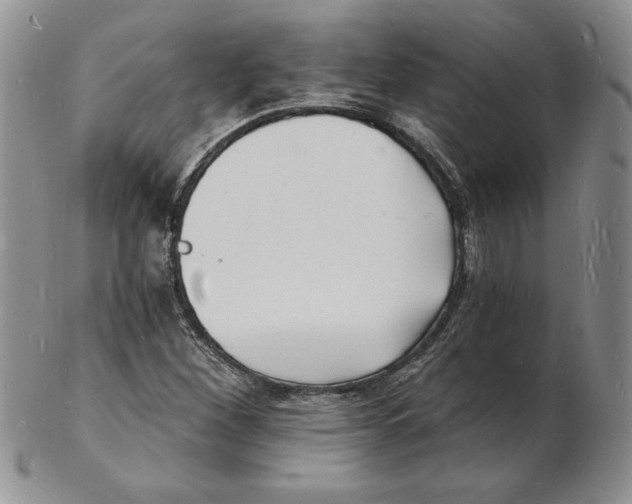 X0000102221260200808221238